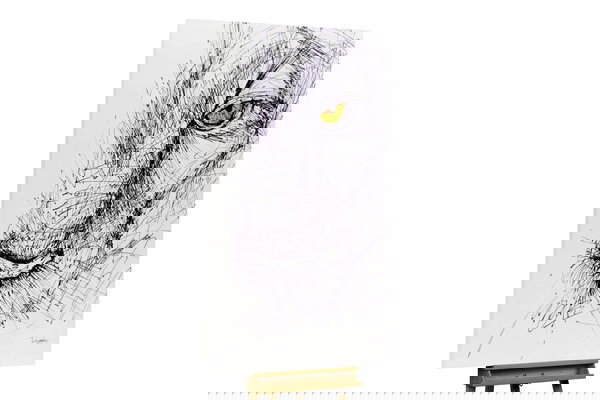 Een uniek exemplaar voor je interieur