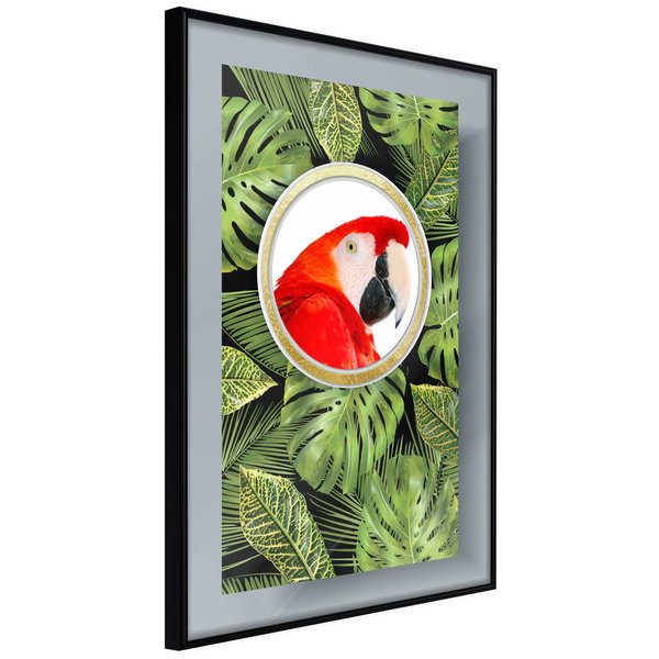 Poster 'Parrot In The Jungle'