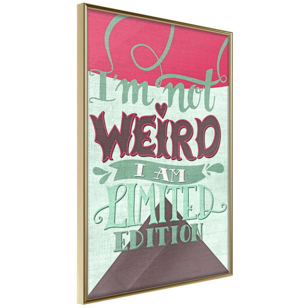Poster 'I'm Not Weird'