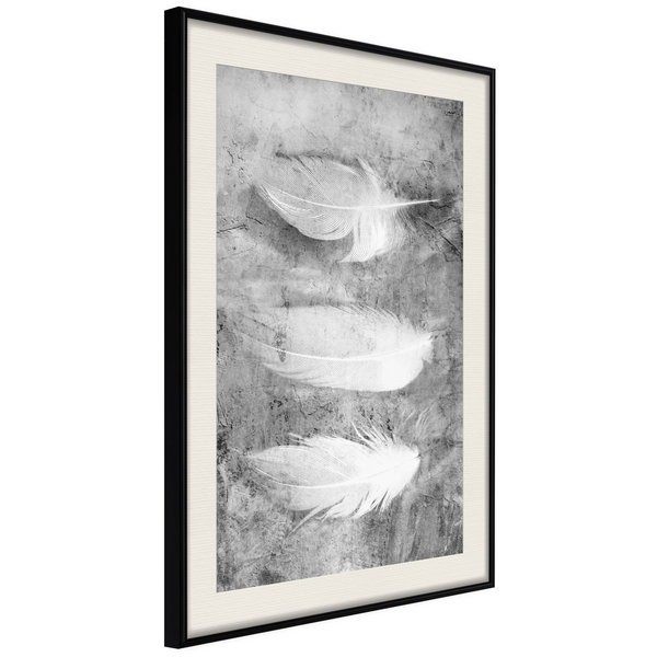 Poster 'Delicate Feathers'