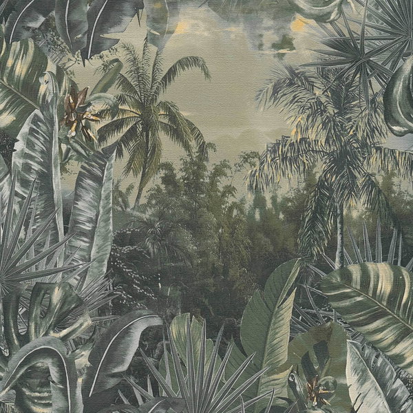 Tapete 'Unexplored World' 53x1005cm