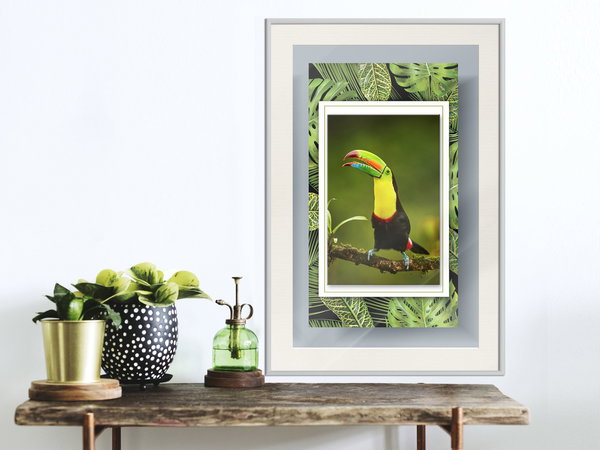 Poster 'Toucan in the Frame'