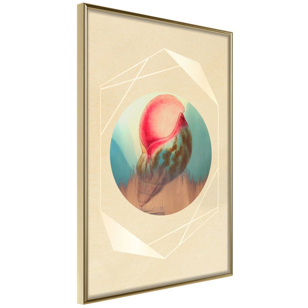 Poster 'Seashell'