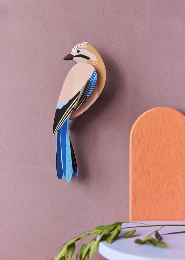 Wanddeko Papier 'Eichelhäher'