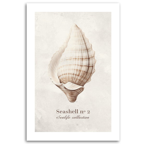 Kunstdruck auf Leinwand 'Seashell #2'