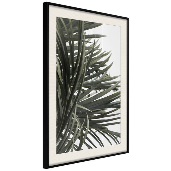 Poster 'Little Tropics'