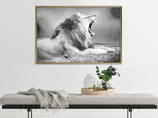 Poster 'Yawning Lion'