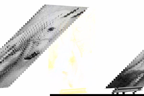 Unikat za sva četiri zida