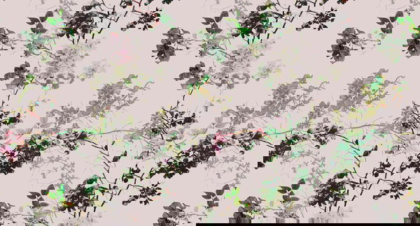 Behang 'Branches 2' 500x270cm