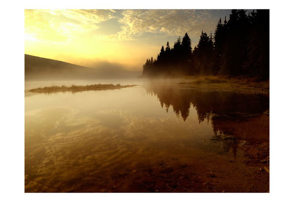 Tapete 'Wald und See'