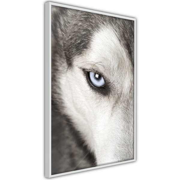 Poster 'Azure Eye'
