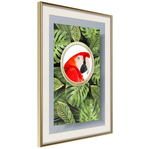 Poster 'Parrot In The Jungle'