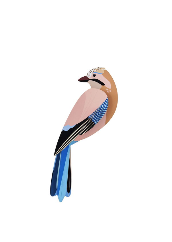 Objet mural en carton 'Jay Bird Wall Art'