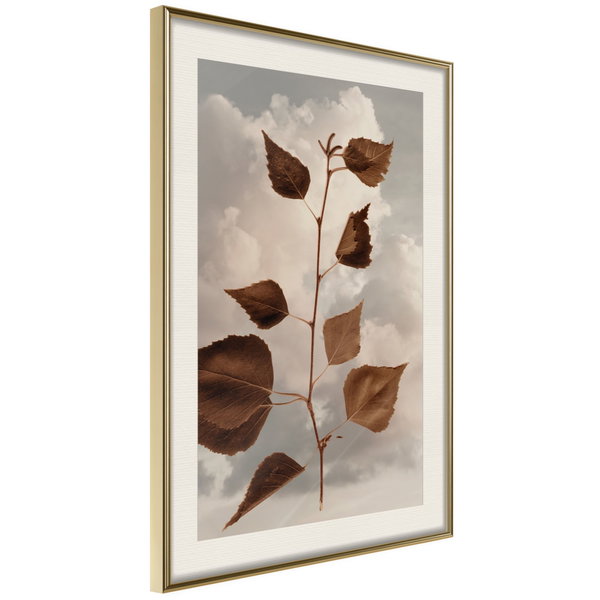 Póster 'Leaves in the Clouds'