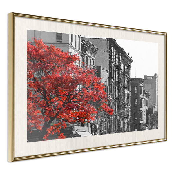 Poster 'Autumn Colours II'