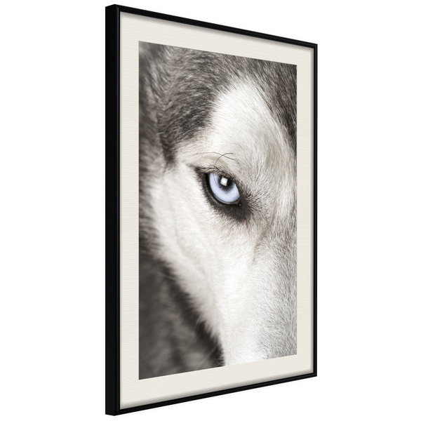 Poster 'Azure Eye'