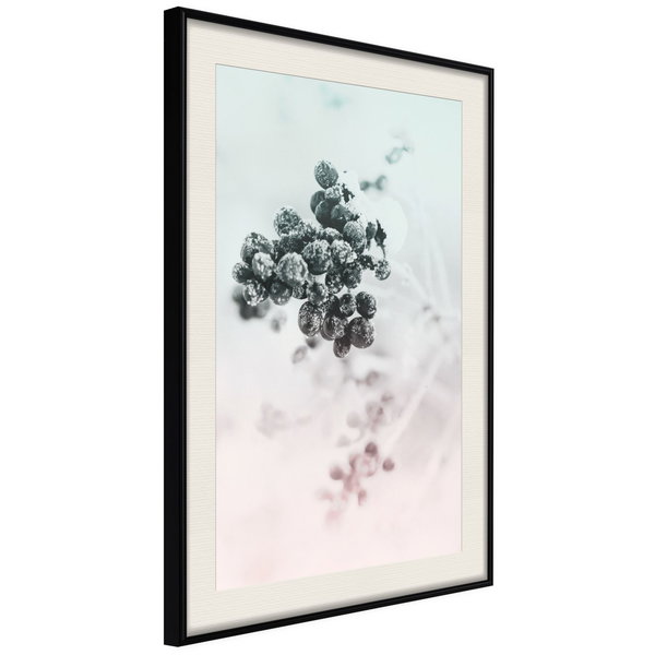 Poster 'Will to Survive'