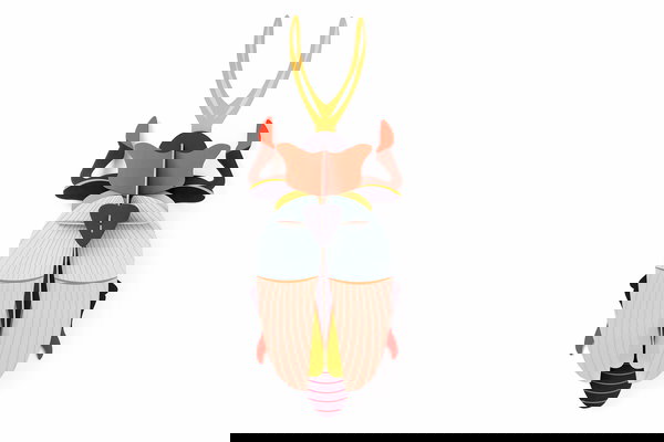 Arte de papel 3D 'Colorful Rhino Beetle'