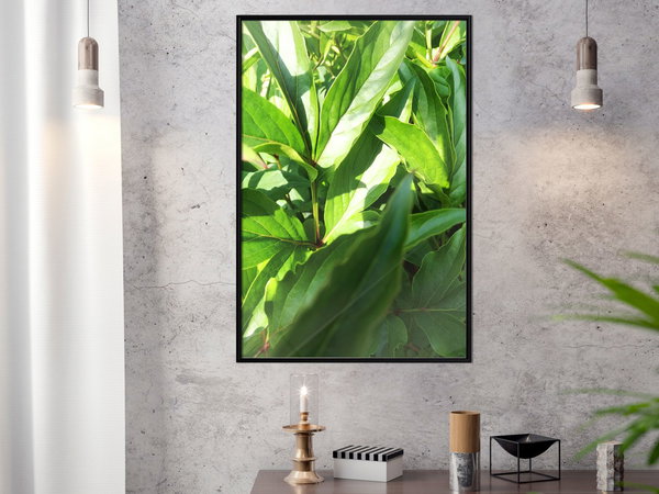 Poster 'Somewhere in the Garden'