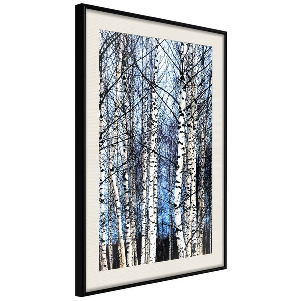 Poster 'Winter Birch Trees'