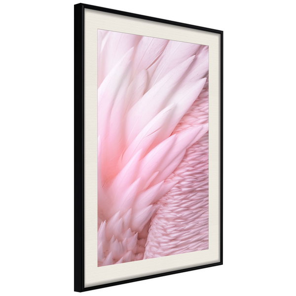 Poster 'Pink Feathers'