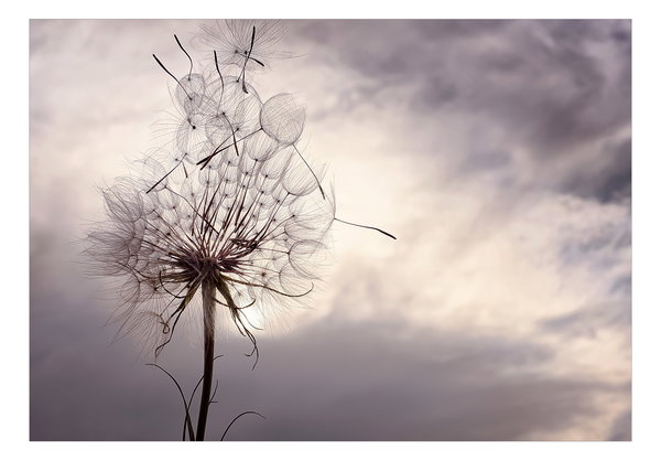Tapete 'Gentle Wind'