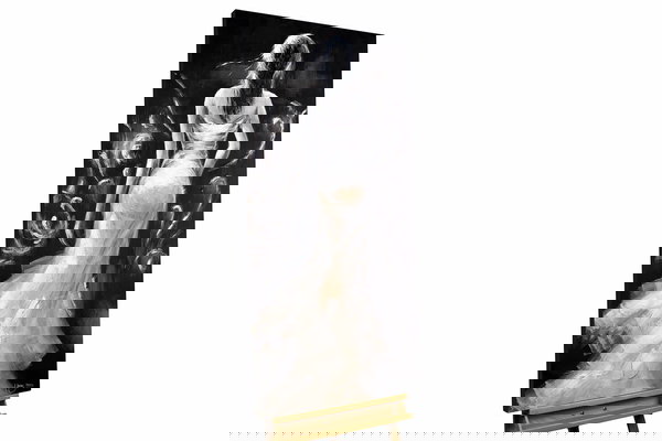 De l'art moderne pour votre chez-vous