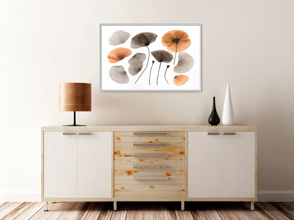 Poster 'Dried Poppies'