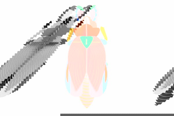 Objet mural en carton 'Lady Beetle Decor'