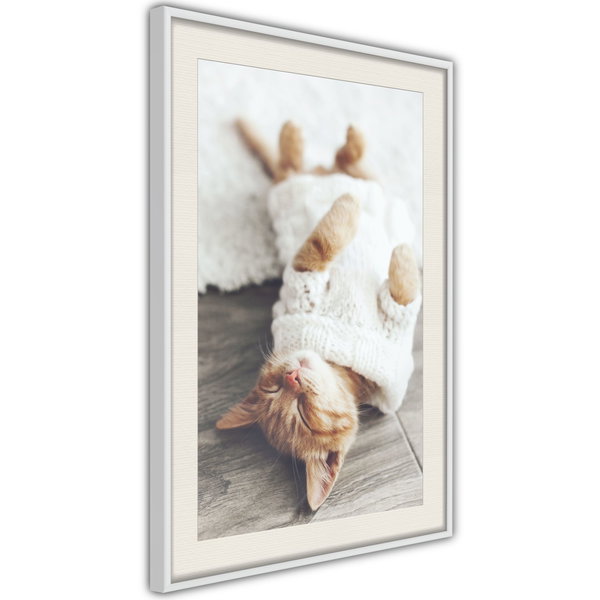 Poster 'Lazy Cat'