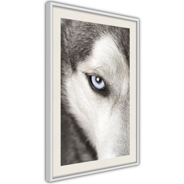 Poster 'Azure Eye'