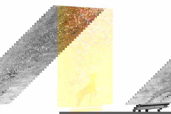 Un ejemplar único para su hogar o puesto de trabajo