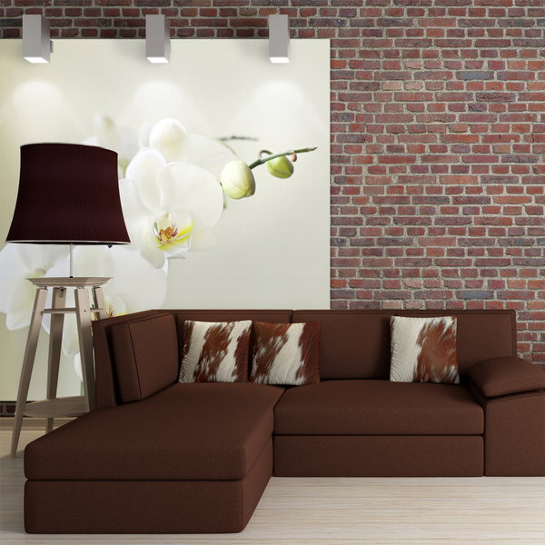 Tapeta 'Eternal Elegance: White Orchid'