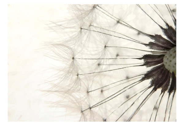 Papier peint 'Dandelion Wine'