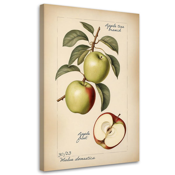 Canvastryck 'Apple Fruit'