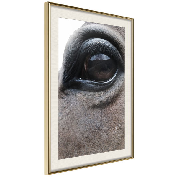Poster 'Honest Eyes'