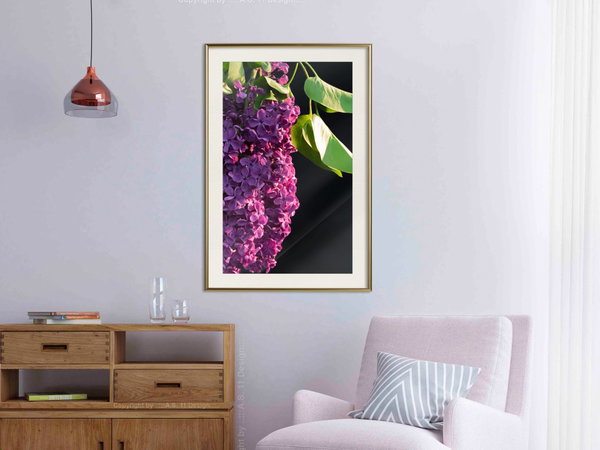 Poster 'Violet May'
