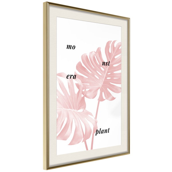 Poster 'Pale Pink Monstera'