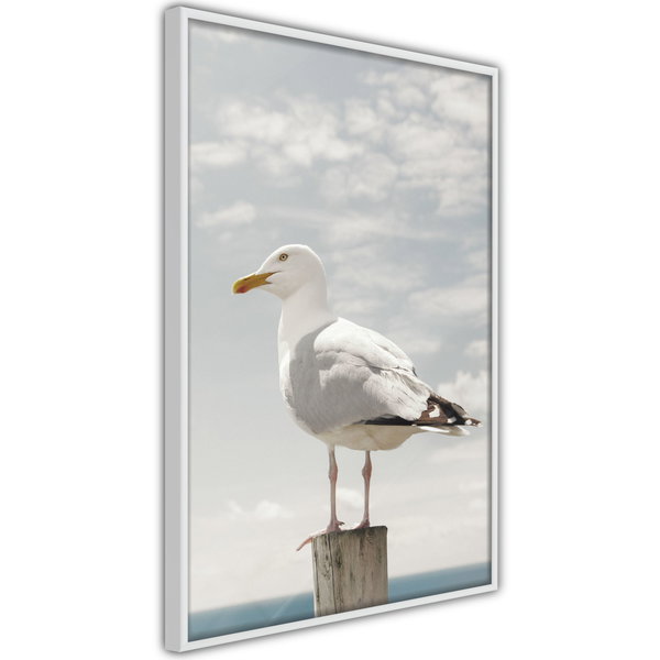 Poster 'Curious Seagull'