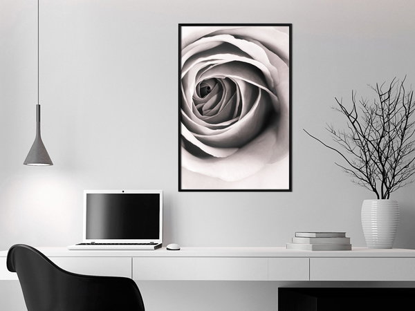 Poster 'Structure of Petals'