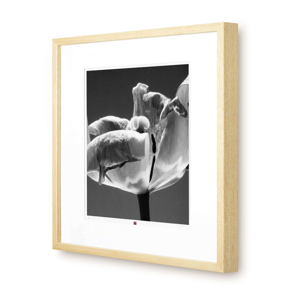 Unsere Flower-Edition als Fotogalerie