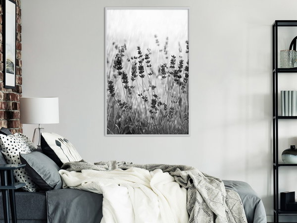 Poster 'Shadow of Meadow'