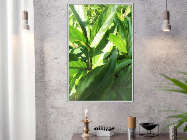Poster 'Somewhere in the Garden'