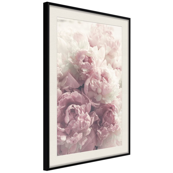 Poster 'Delicate Peonies'