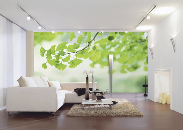 Tapete 'Ginkgo' 400x270cm