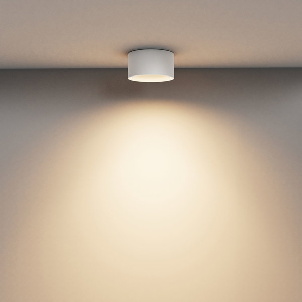 Plafondverlichting 'Vega 6'