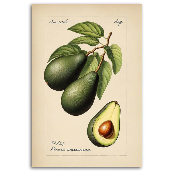 Kunstdruck auf Leinwand 'Avocado'