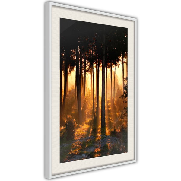 Poster 'Dark Tree Tops'