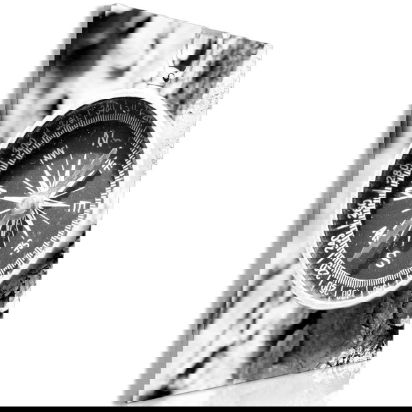 Impression sur toile 'Black and White Compass Vertical'
