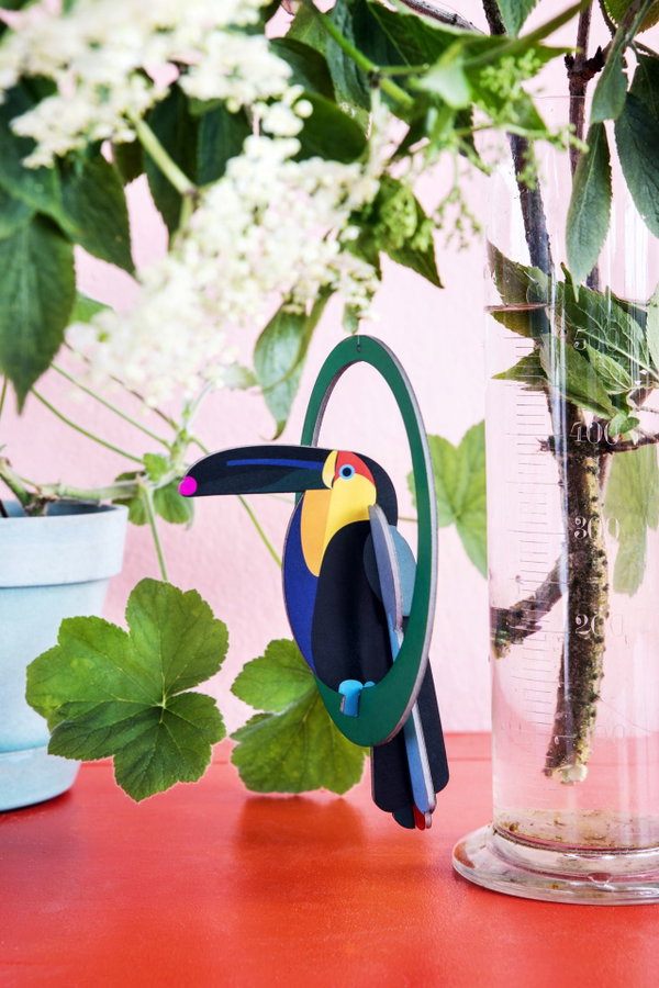 Hanging Decoration 'Green Frame Toucan'